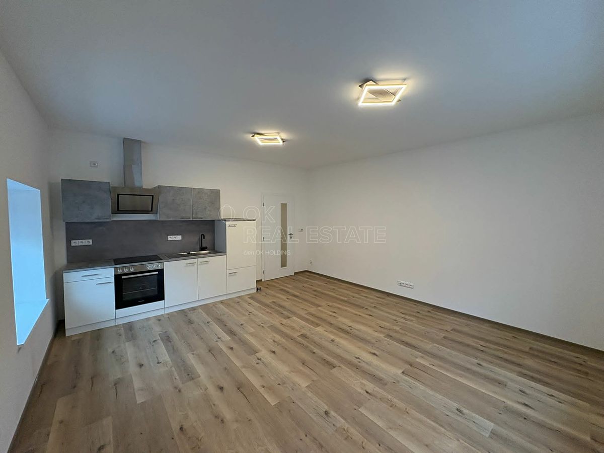 Pronájem bytu 1+kk 46 m²